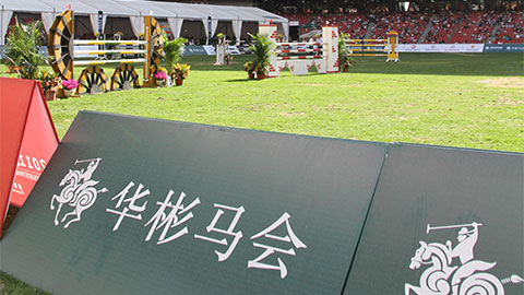2011 International Equestrian Competition